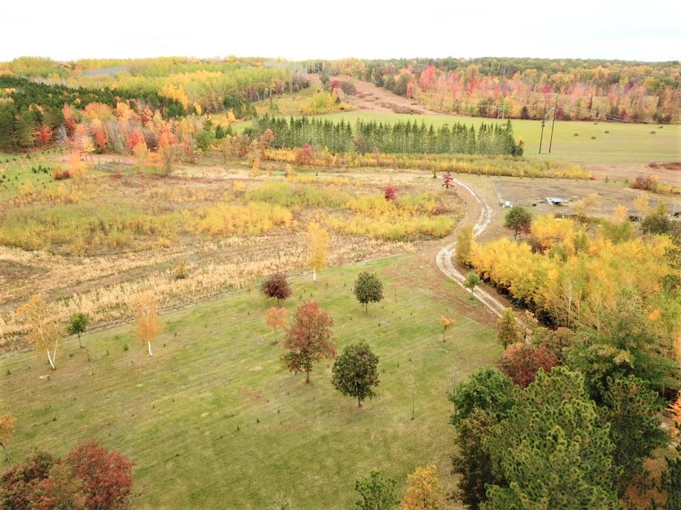 31423 Nagel Road Pequot Lakes, MN 56472 - Photo 35 of 40 Gallery Image 35