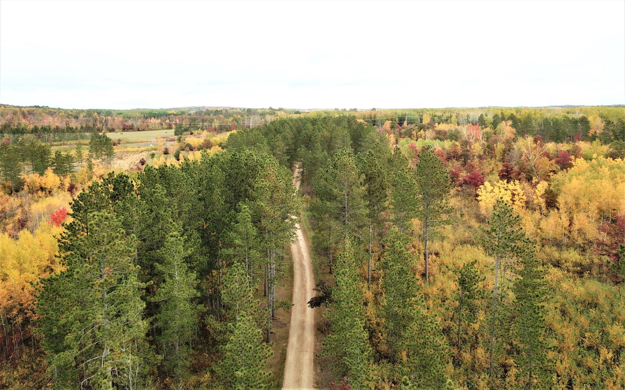 31423 Nagel Road Pequot Lakes, MN 56472 - Photo 39 of 40 Gallery Image 39