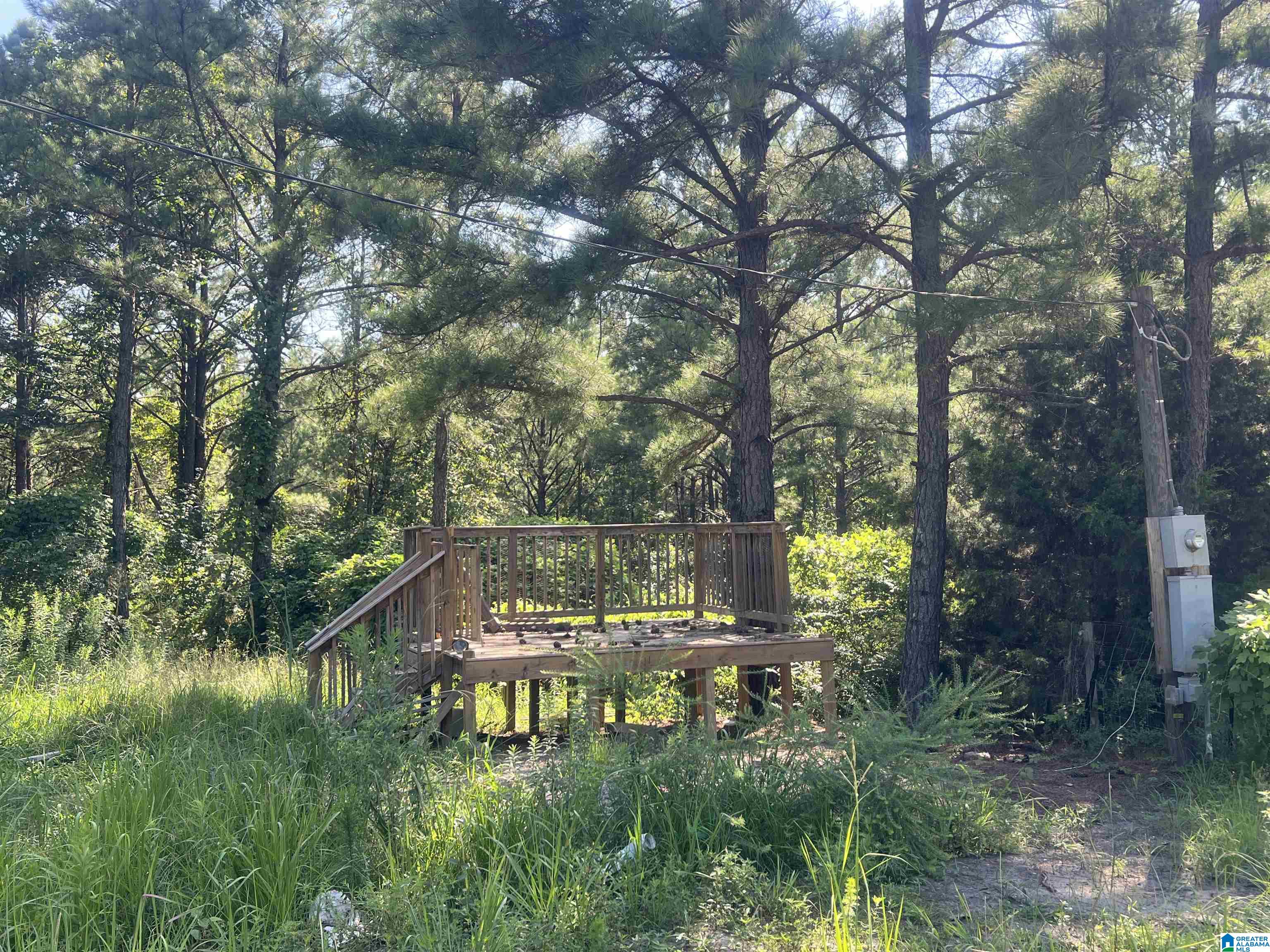 15239 Ridgeland Road Brookwood, AL 35444 - Photo 9 of 10