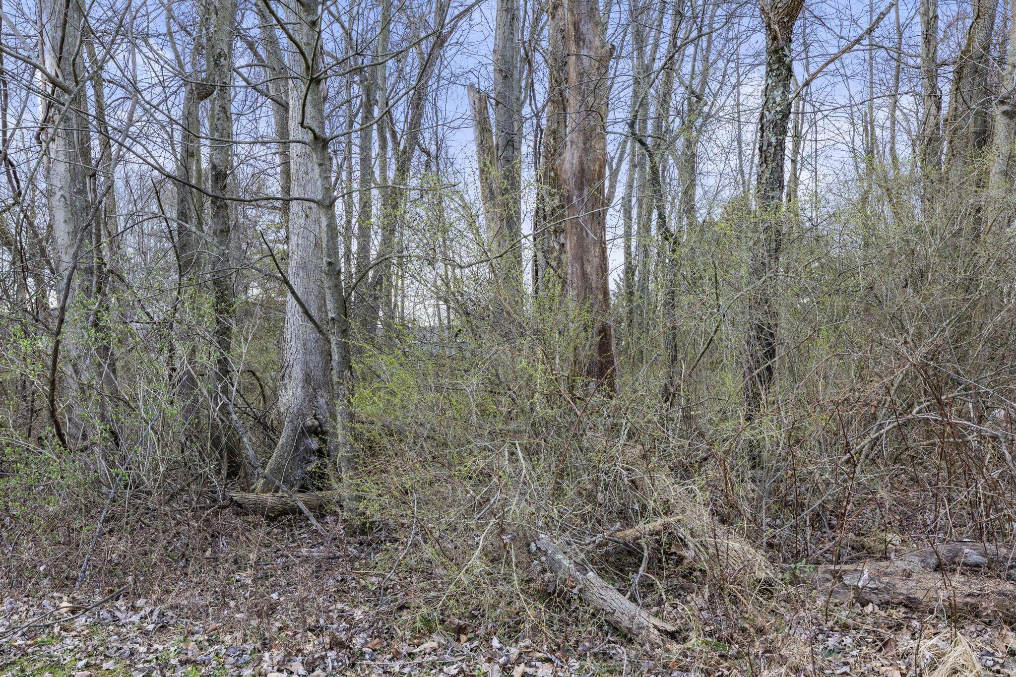 0 King Road Northeast Thornville, OH 43076 - Photo 6 of 31 flat and wooded