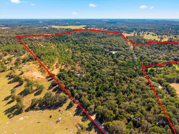 a view of outdoor space and city view