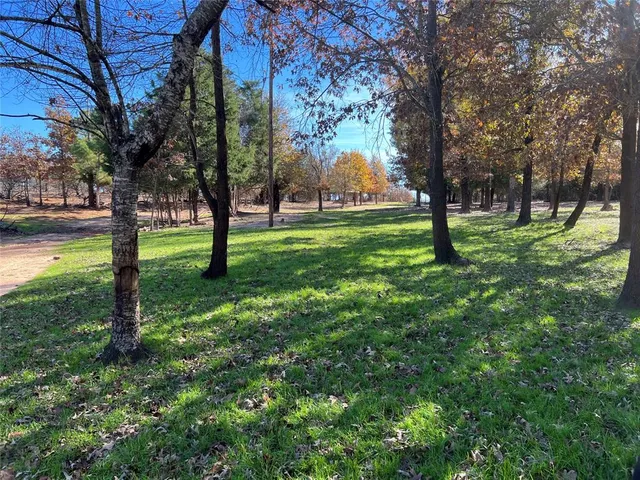 a view of yard with trees