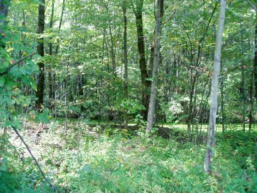 288 B Veterans Road Mercer, PA 16137 - Photo 8 of 8 Other.