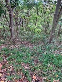 0 Belgium Hill Road Cecil, PA 15321 - Photo 3 of 6 a view of a forest that has a tree