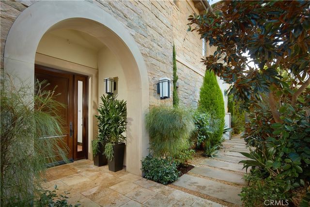a view of a pathway with a tree