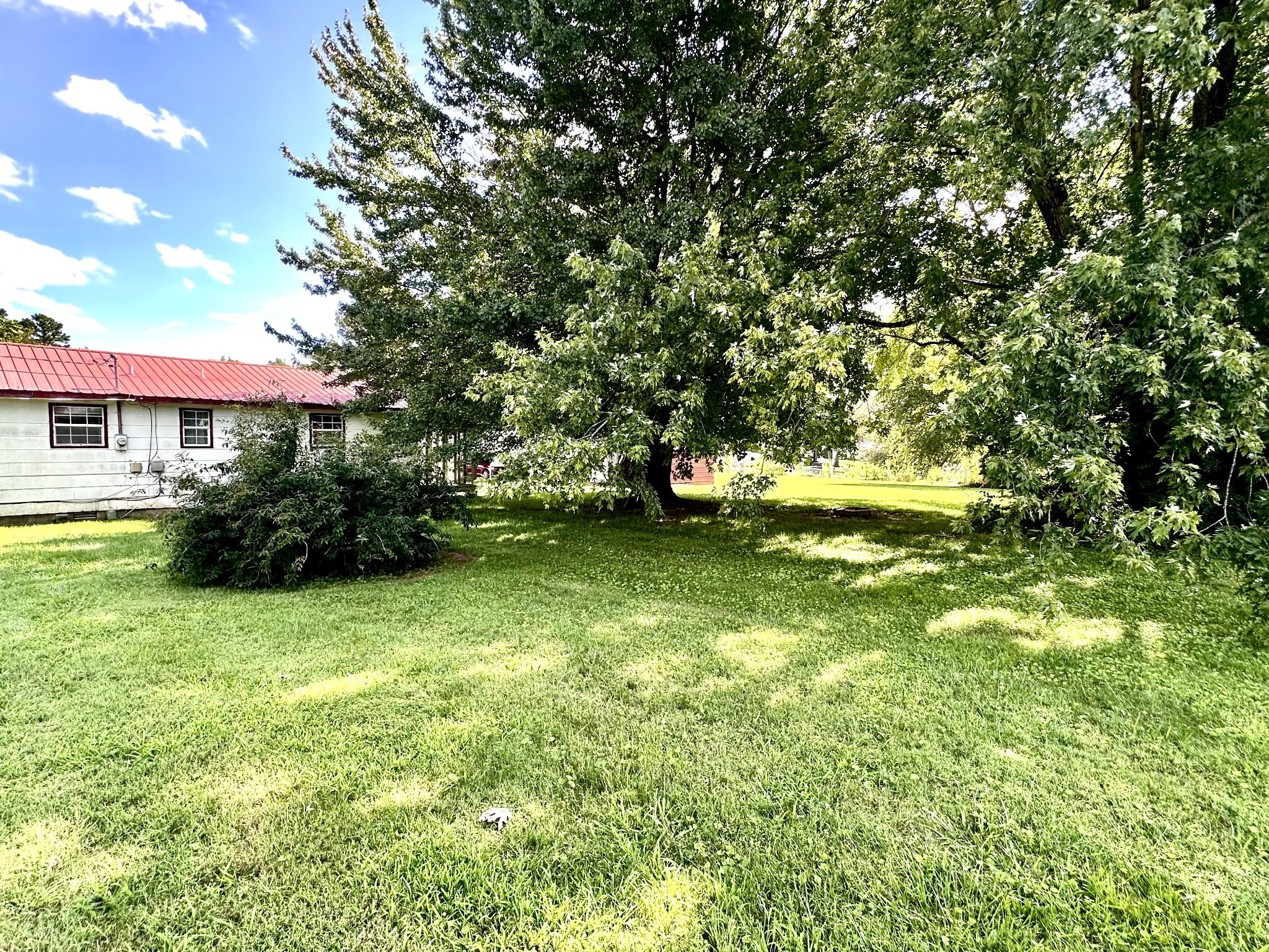 121 Dell Road Gruetli Laager, TN 37339 - Photo 23 of 35 a view of a trees in a yard