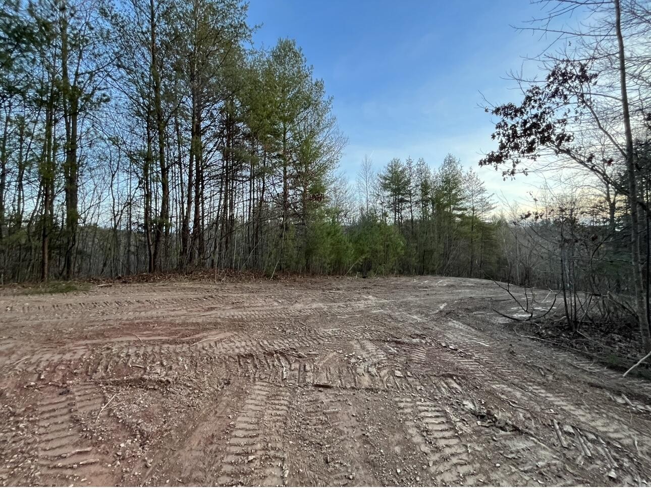 0 Archville Road Reliance, TN 37369 - Photo 1 of 21 Gallery Image 1