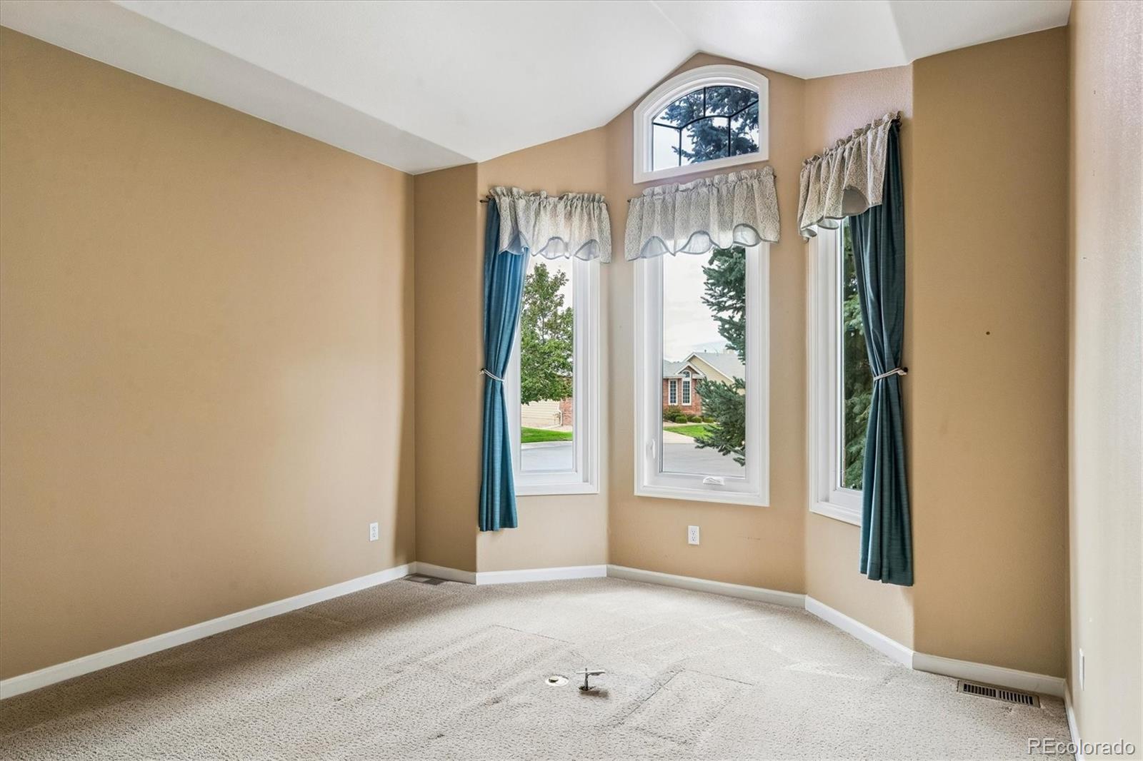 20 Tamerlain Court Highlands Ranch, CO 80130 - Photo 20 of 43 Gallery Image 20