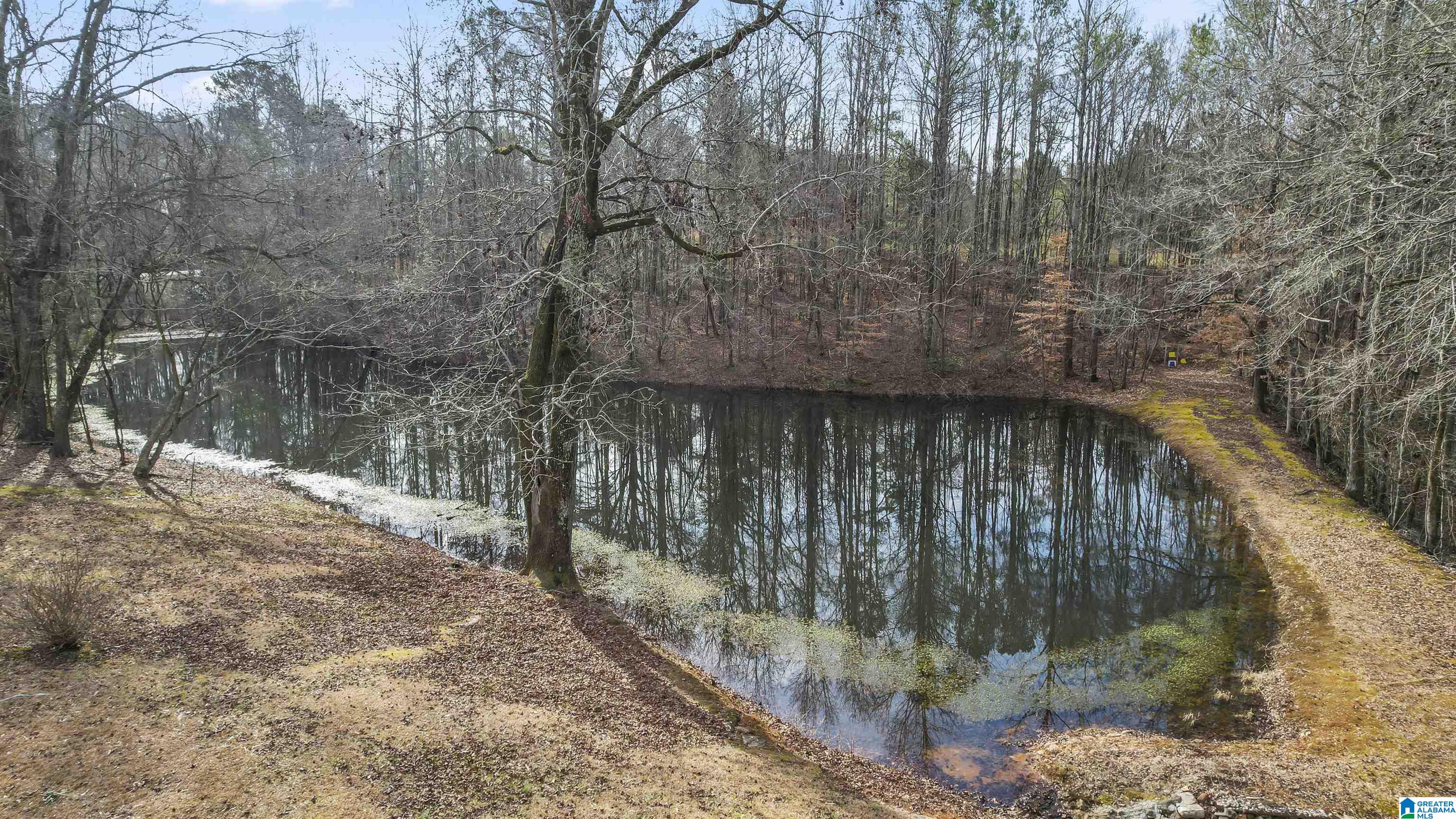 25331 Highway 231 Sylacauga, AL 35151 - Photo 5 of 40