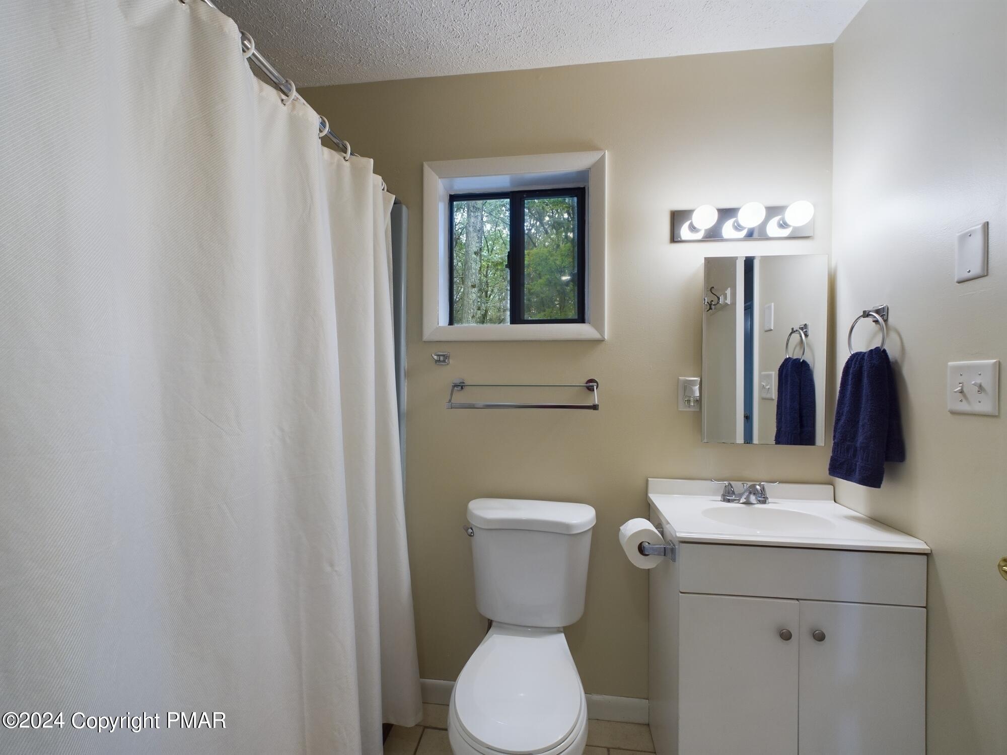 1245 Ranger Trail Pocono Lake, PA 18347 - Photo 26 of 59 a bathroom with a toilet a sink and a mirror