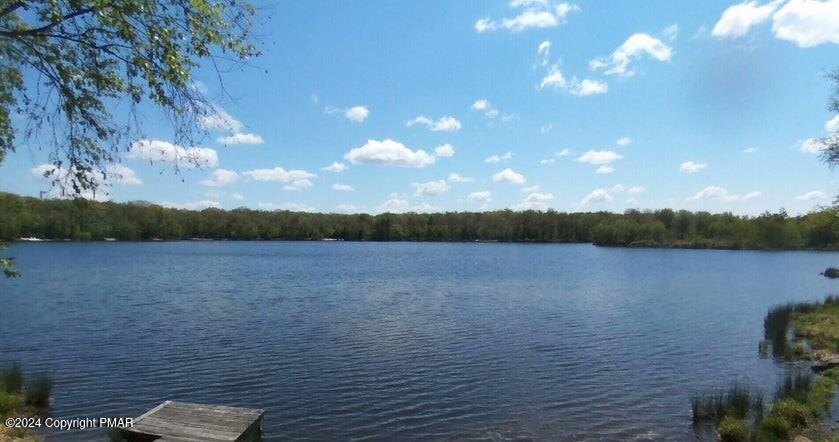 1245 Ranger Trail Pocono Lake, PA 18347 - Photo 57 of 59 a view of lake and mountain