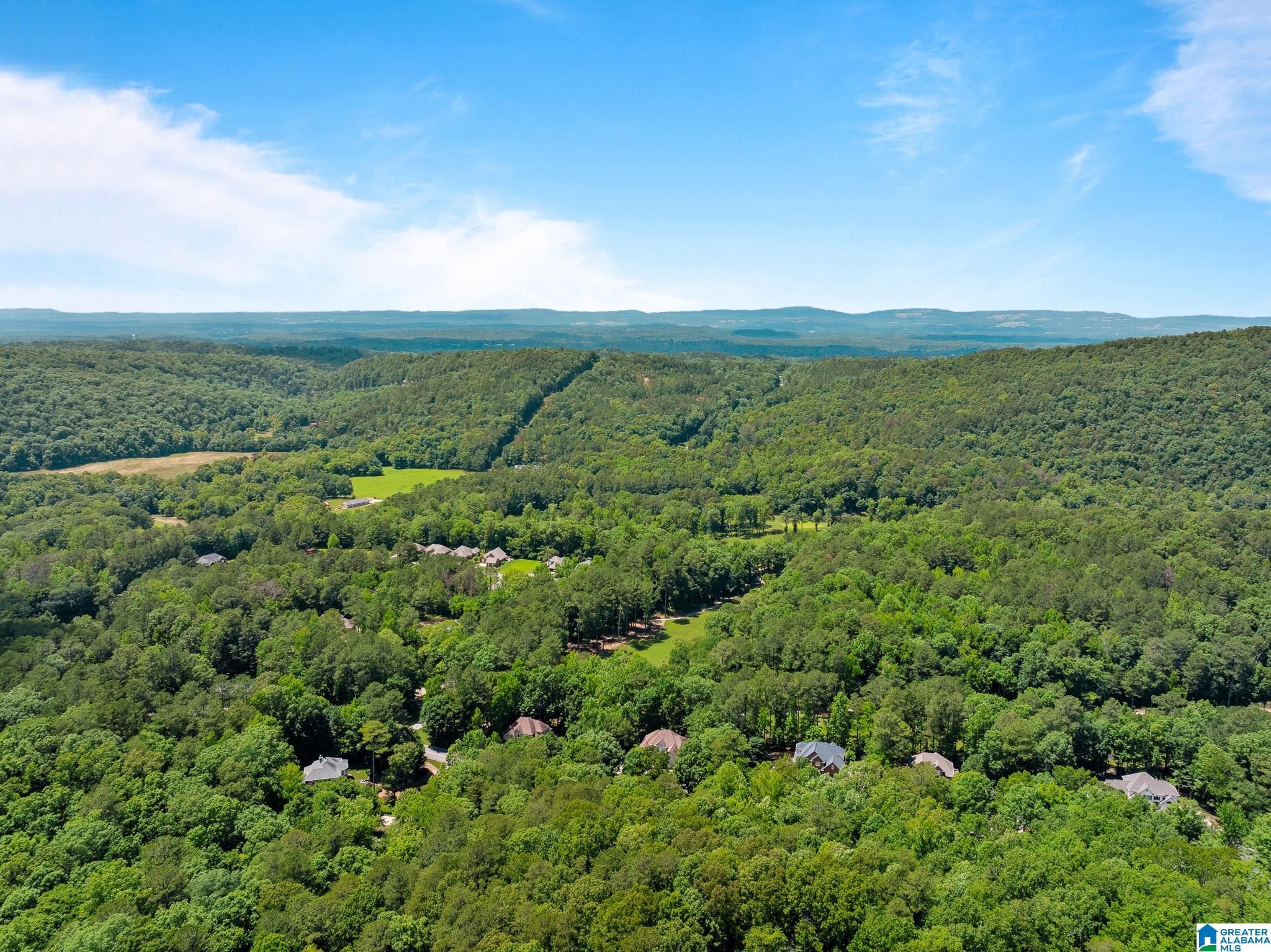 150 St Andrews Parkway Oneonta, AL 35121 - Photo 86 of 98