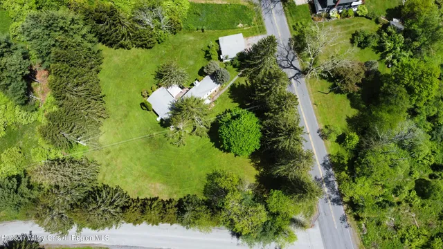 a view of a garden with a flower