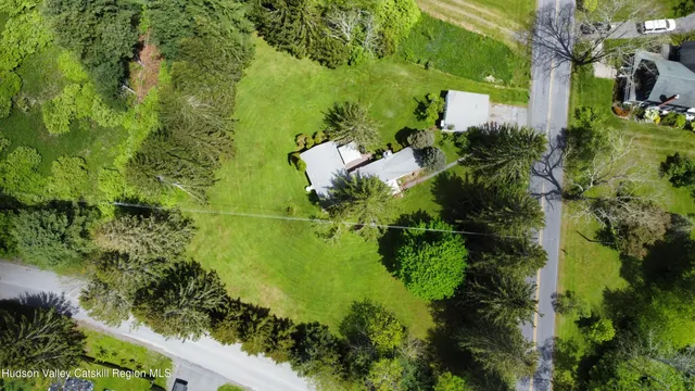 a view of a garden with plants