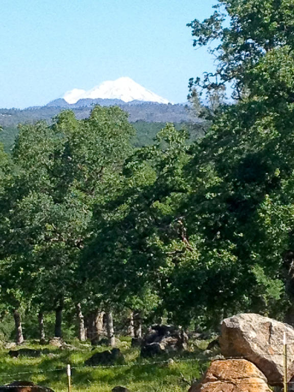 12608 Oak Run Road Oak Run, CA 96069 - Photo 11 of 53 Mt Shasta Views