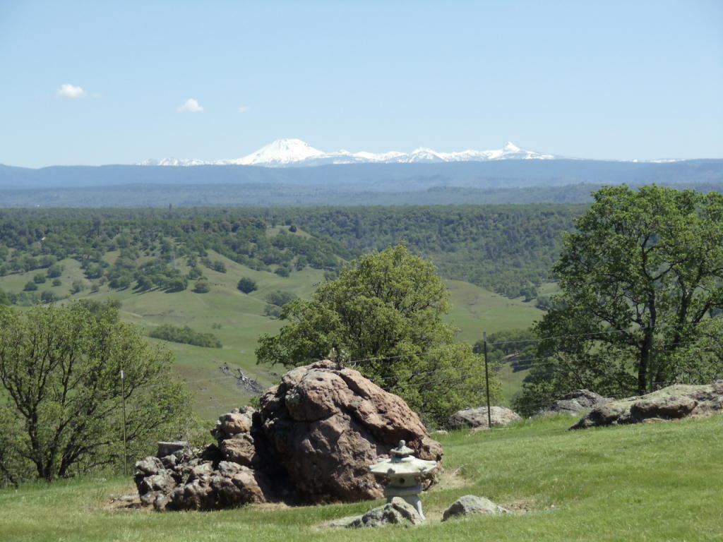 12608 Oak Run Road Oak Run, CA 96069 - Photo 10 of 53 Incredible Lassen Range Views