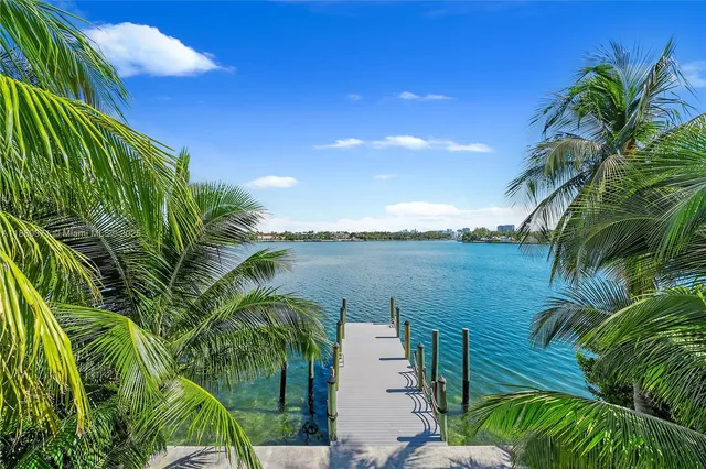a view of a lake with a palm tree