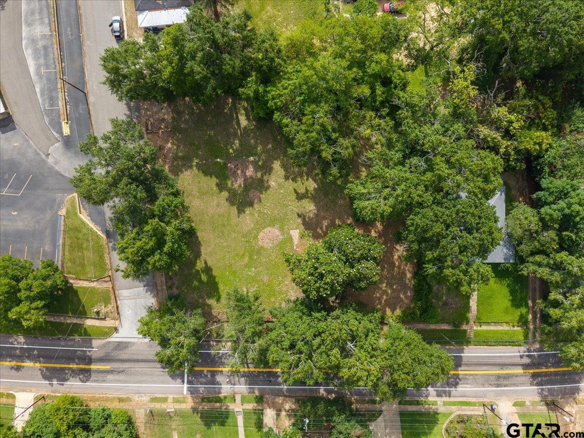 262 North Henderson Street Rusk, TX 75785 - Photo 2 of 11