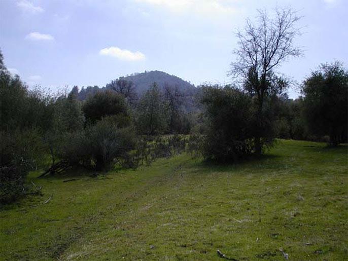 4195 Stumpfield Mountain Road Mariposa, CA 95338 - Photo 11 of 14 a view of outdoor space and garden