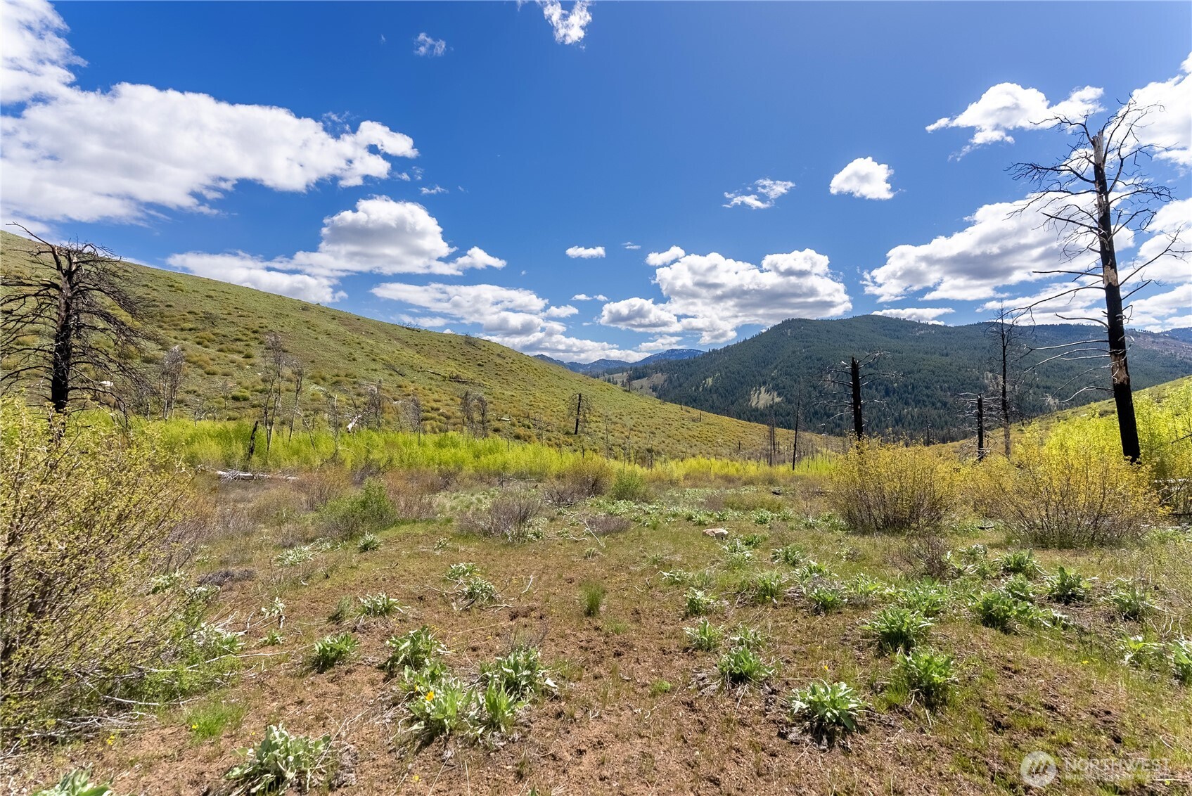 8 Myer Creek Road Twisp, WA 98856 - Photo 5 of 31 Gallery Image 5