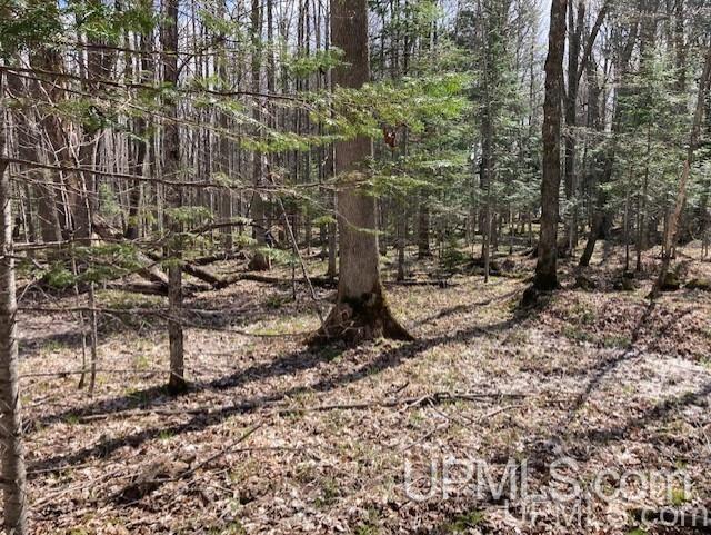 Lot 1 Wizard Road Watersmeet, MI 49969 - Photo 16 of 26 Gallery Image 16