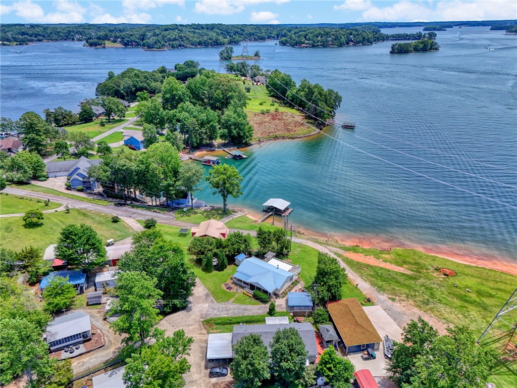 225 Nicholson Cove Road Seneca, SC 29672 - Photo 22 of 22 Panoramic water views and mature trees frame this lakeside community with private boat docks.