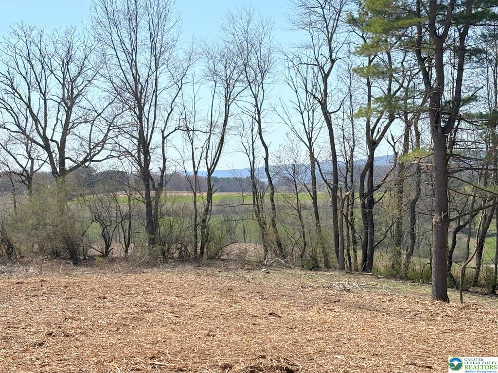 16 Ricks Road New Ringgold, PA 17960 - Photo 3 of 18 A cleared building site offers tranquil rural vistas and a mountain backdrop.