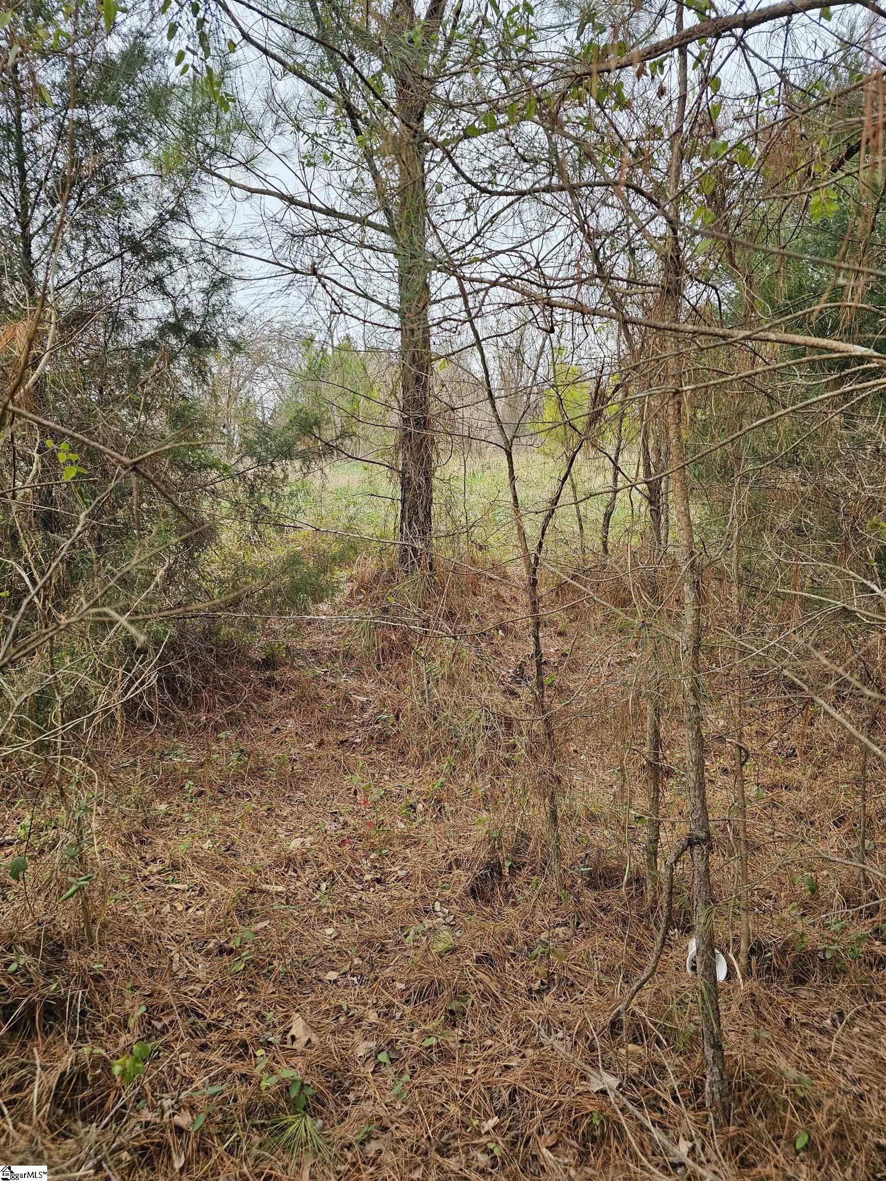 109 Pumphouse Road Greenwood, SC 29649 - Photo 5 of 12