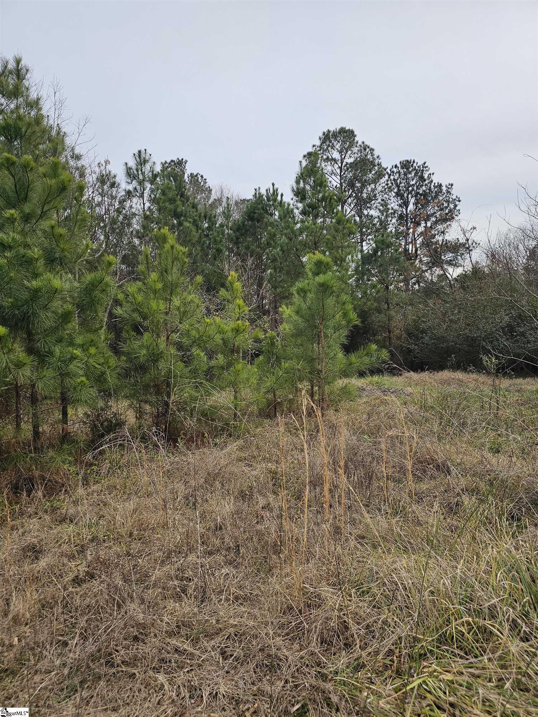 109 Pumphouse Road Greenwood, SC 29649 - Photo 7 of 12