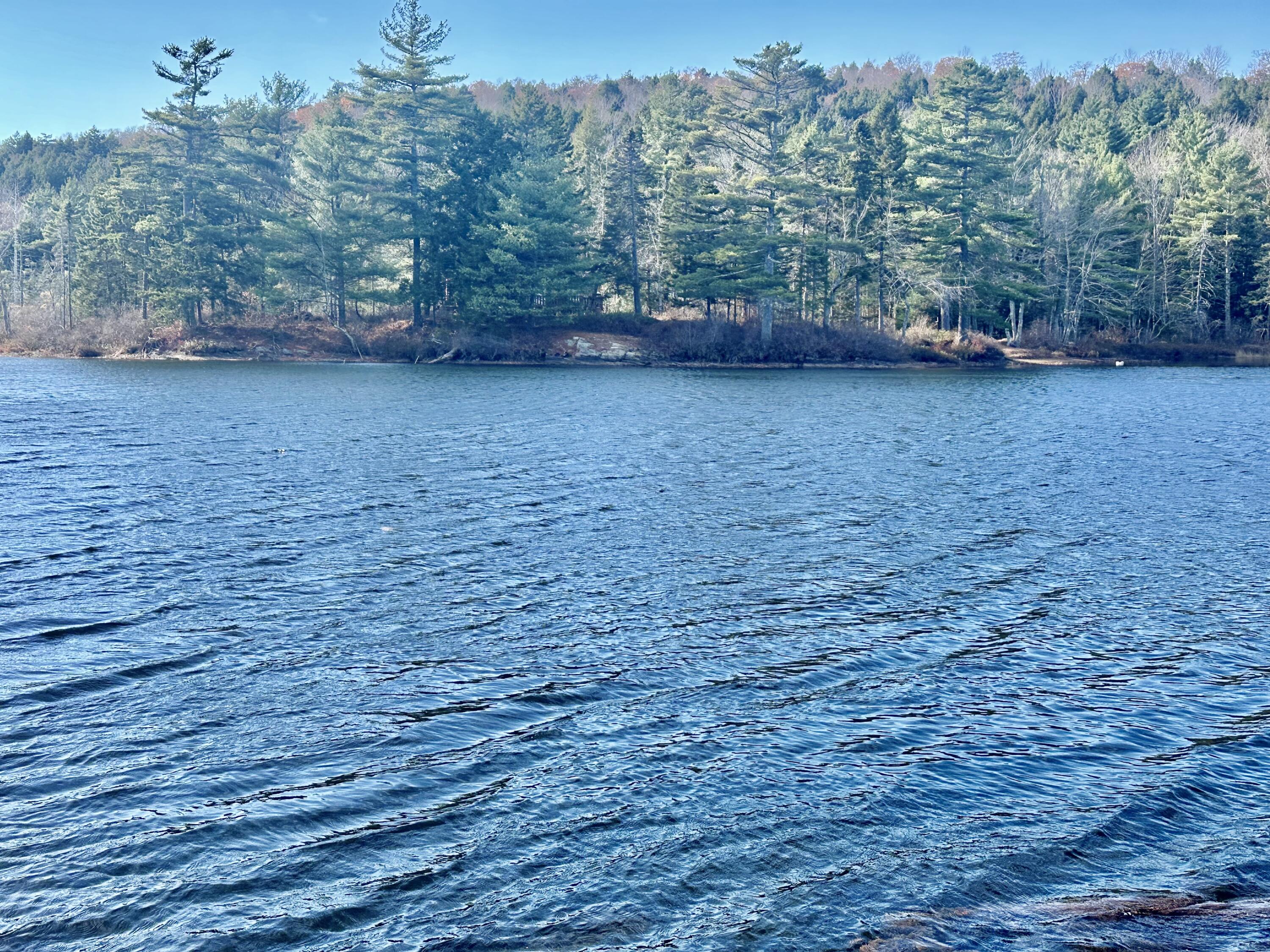 27 Loon Landing Liberty, ME 04949 - Photo 2 of 12 Water