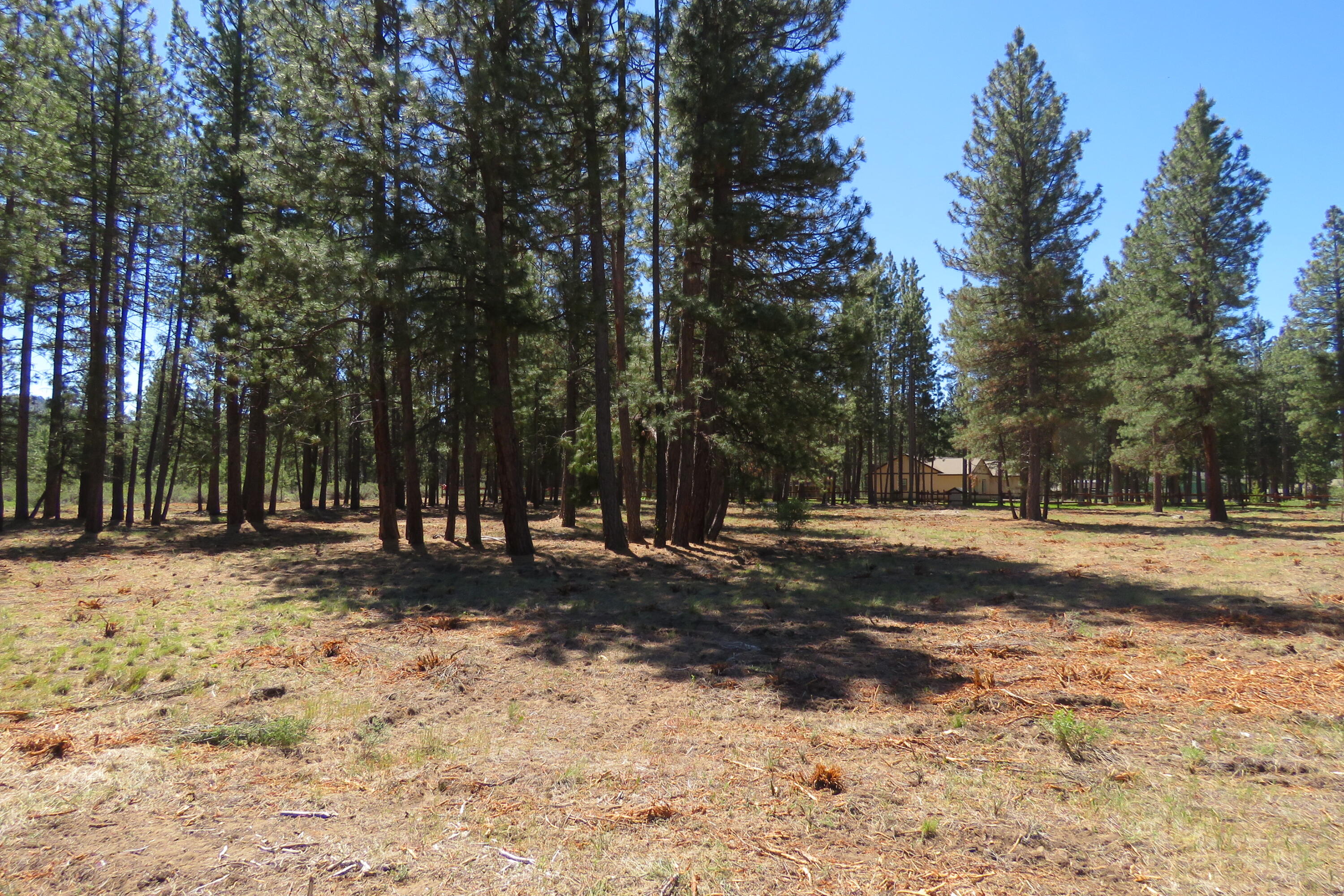 7 Castle Drive Chiloquin, OR 97624 - Photo 11 of 26 IMG_4603