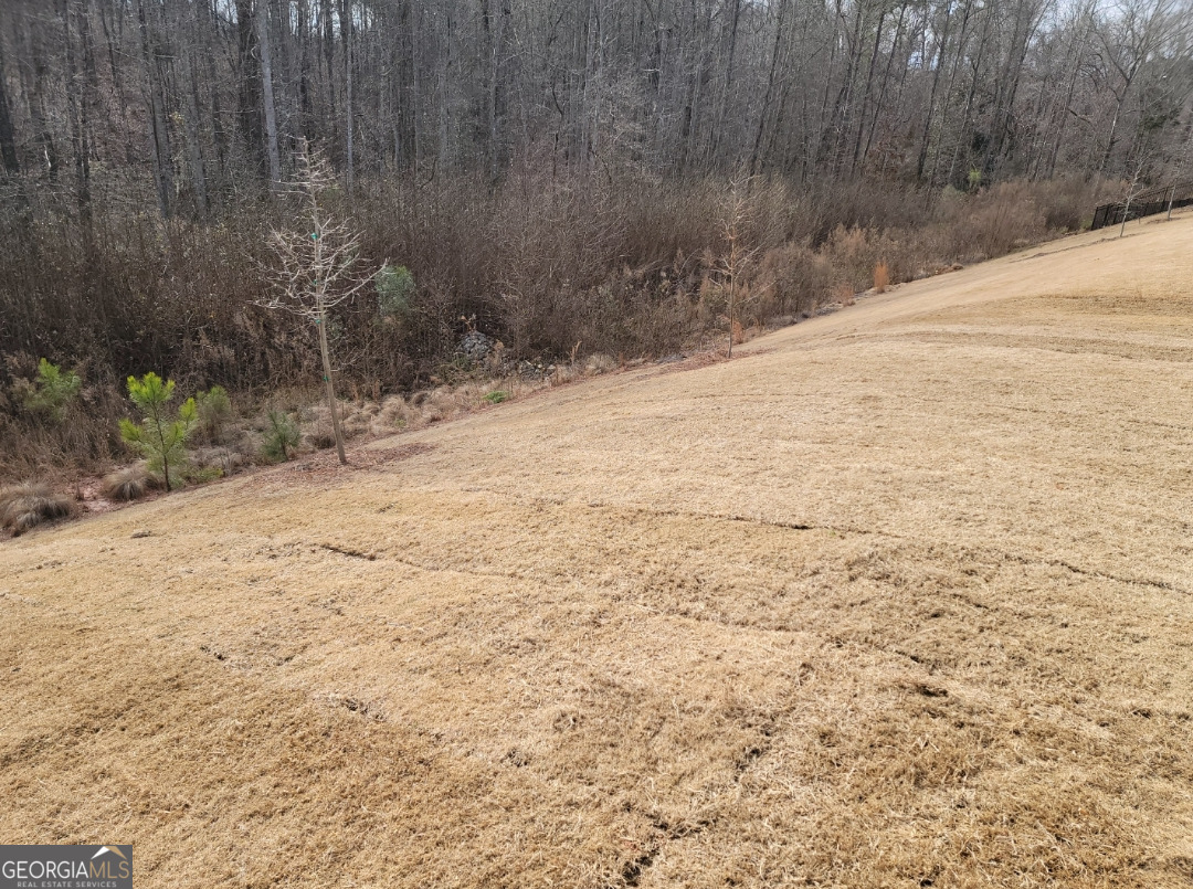 275 S Ridge Senoia, GA 30276 - Photo 37 of 37