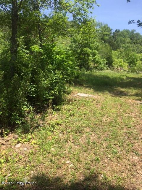0 Forrest Hills Road Guston, KY 40142 - Photo 2 of 5 IMG_1685