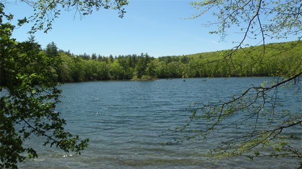 5 Sauna Row Road Townsend, MA 01474 - Photo 18 of 18