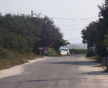 Lot 10 Walton Gulfview Drive Inlet Beach, FL 32461 - Photo 1 of 1 a road view with large trees