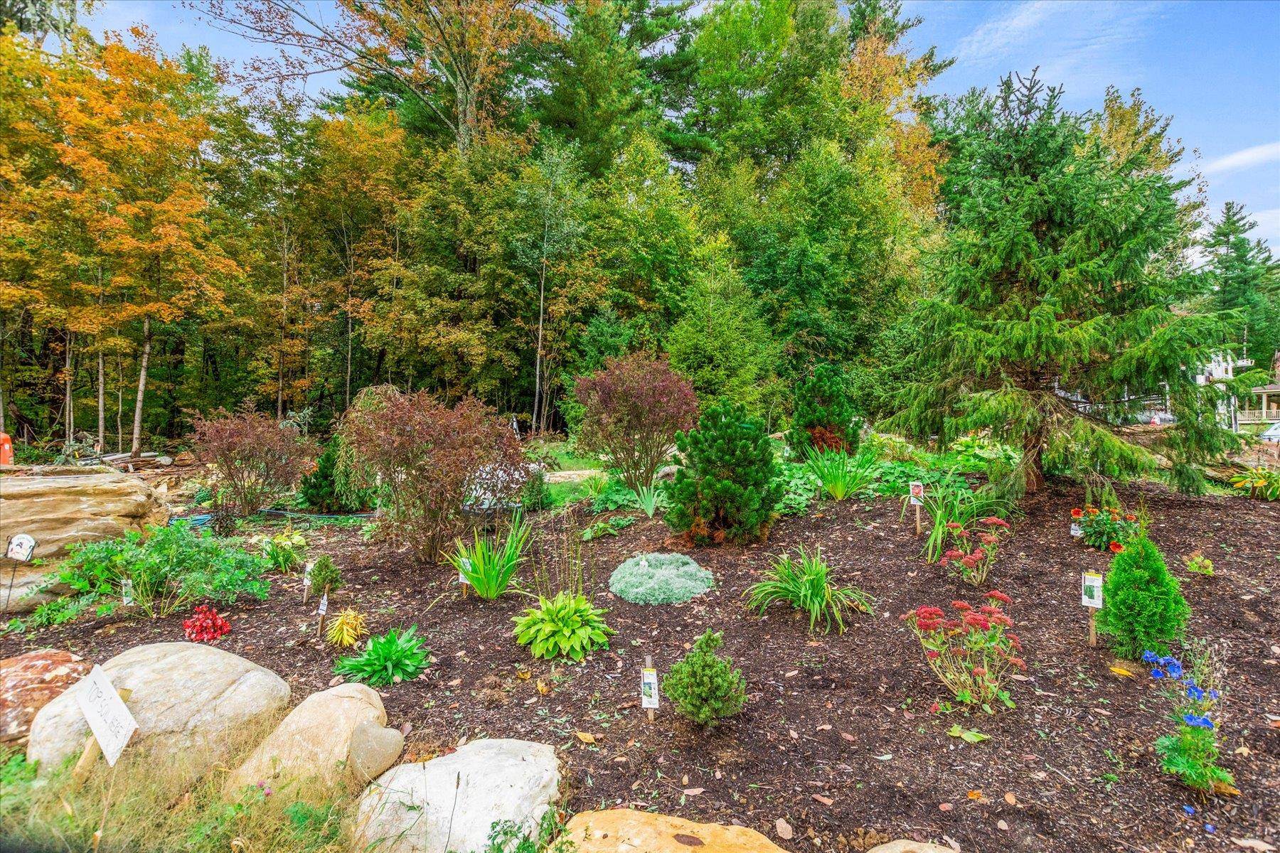 351 Partridge Hill Manchester, VT 05255 - Photo 16 of 32