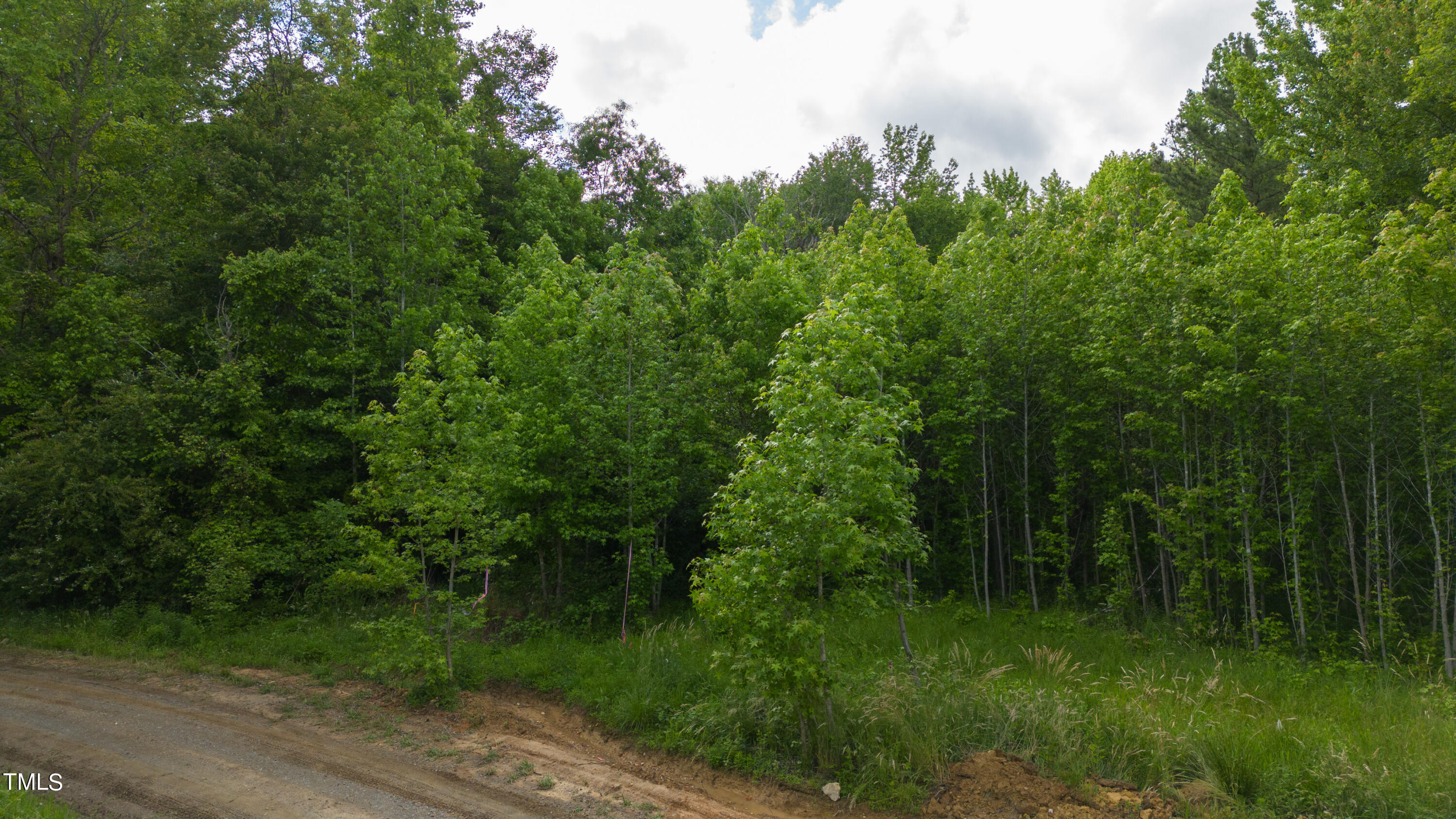 1405 Black Farm Road Oxford, NC 27565 - Photo 2 of 4 a view of a lush green forest
