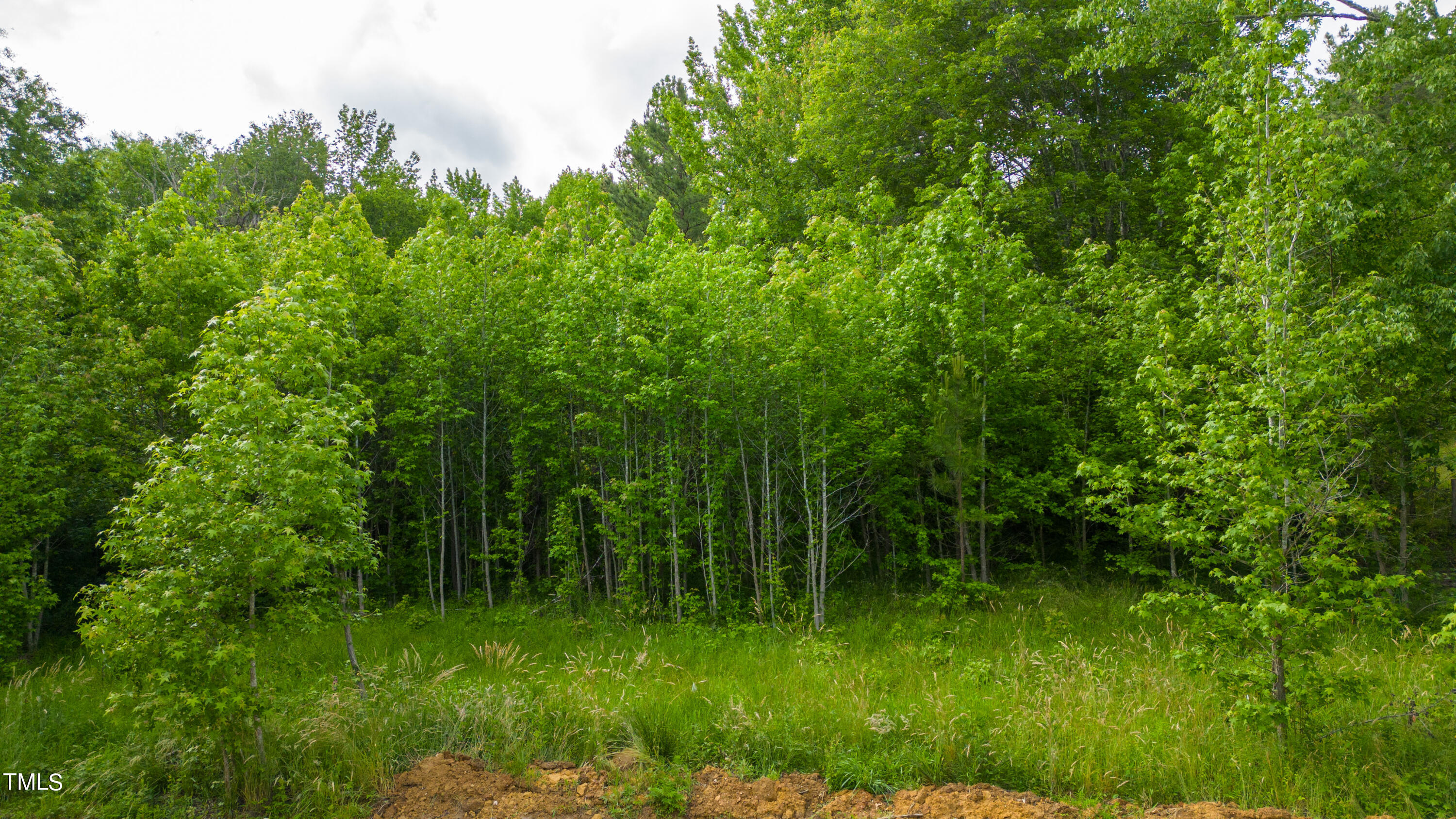 1405 Black Farm Road Oxford, NC 27565 - Photo 3 of 4 a view of a lush green space