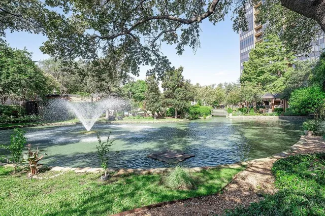 a view of a yard with plants and a lake view