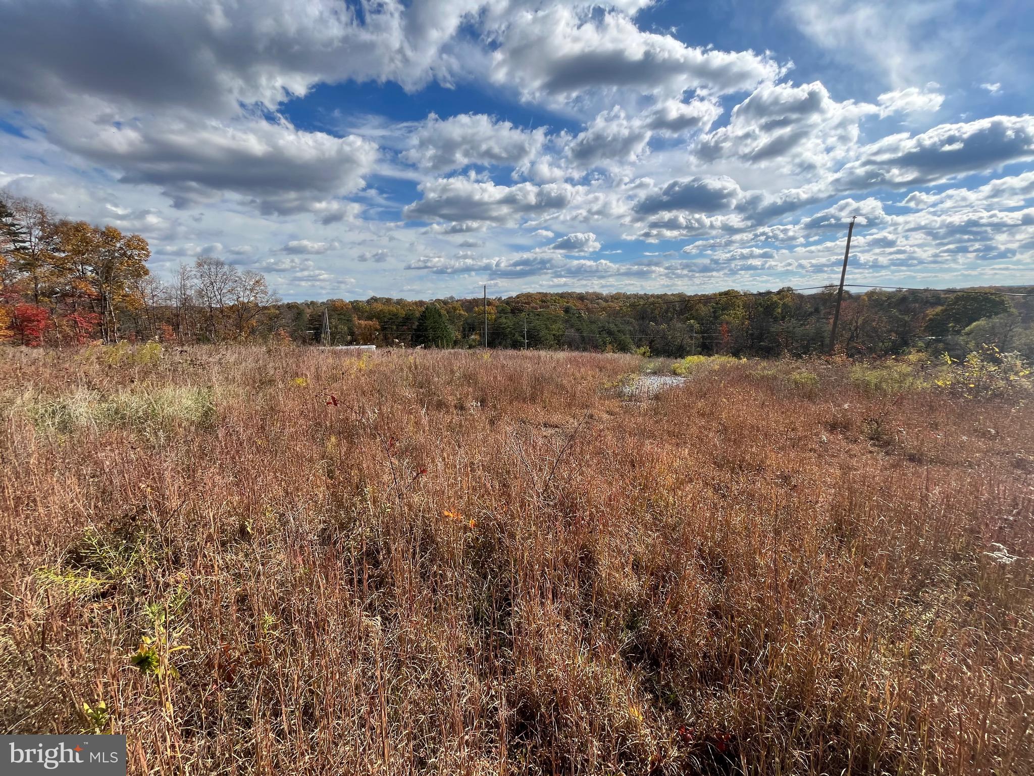 Clone Run Road Hedgesville, WV 25427 - Photo 17 of 29