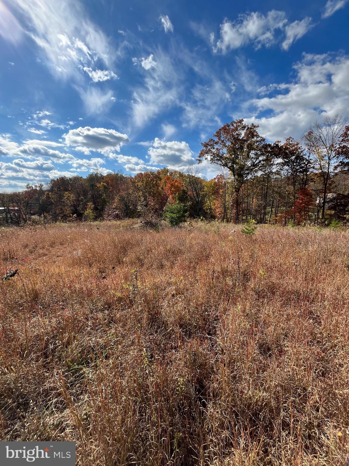 Clone Run Road Hedgesville, WV 25427 - Photo 19 of 29