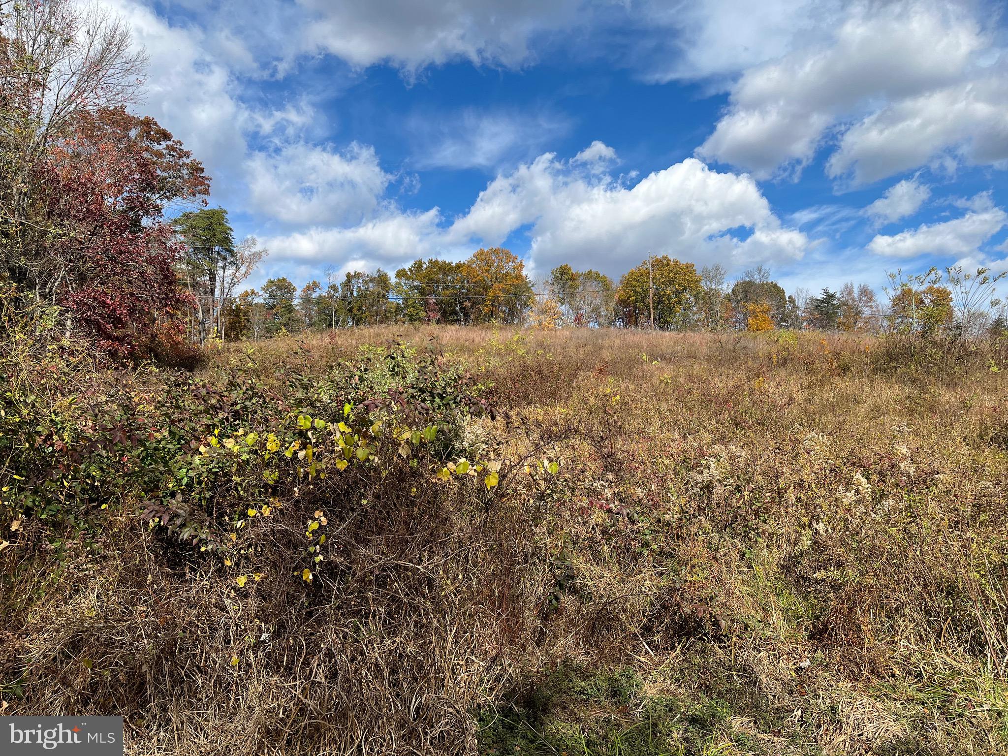Clone Run Road Hedgesville, WV 25427 - Photo 20 of 29 Left side of property