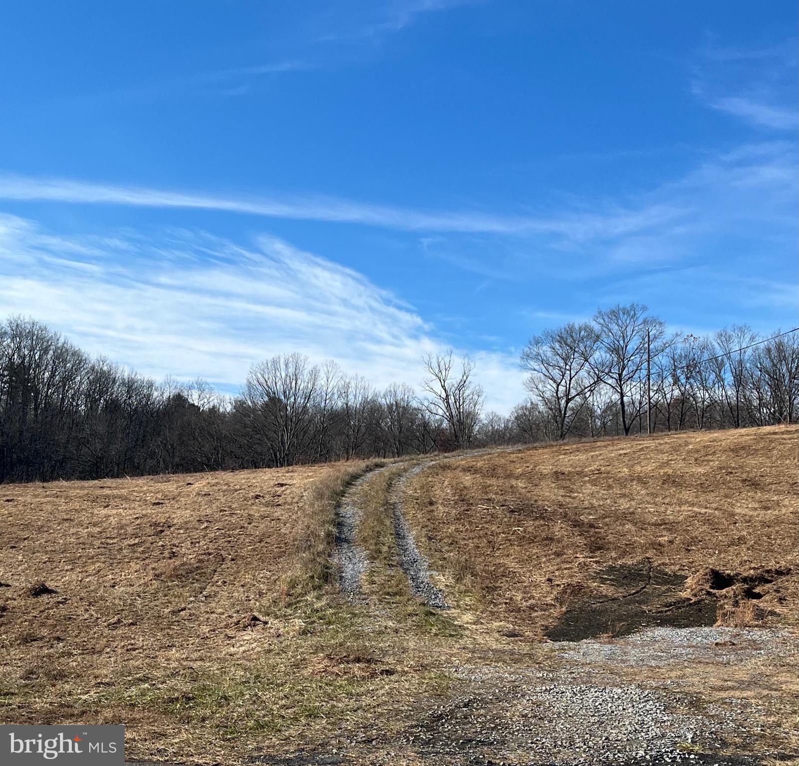 Clone Run Road Hedgesville, WV 25427 - Photo 2 of 29 Road into property