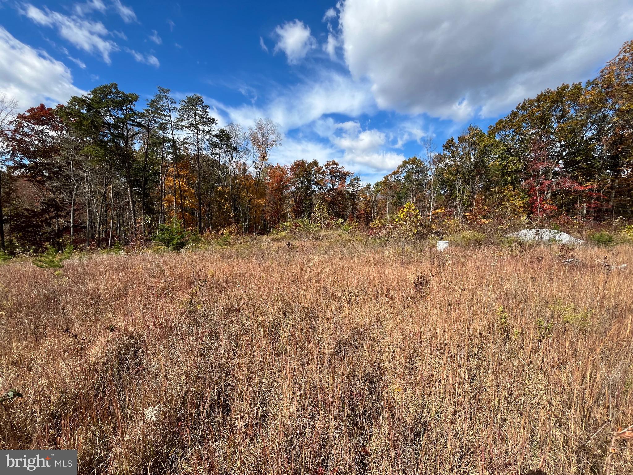 Clone Run Road Hedgesville, WV 25427 - Photo 23 of 29 Facing back of property