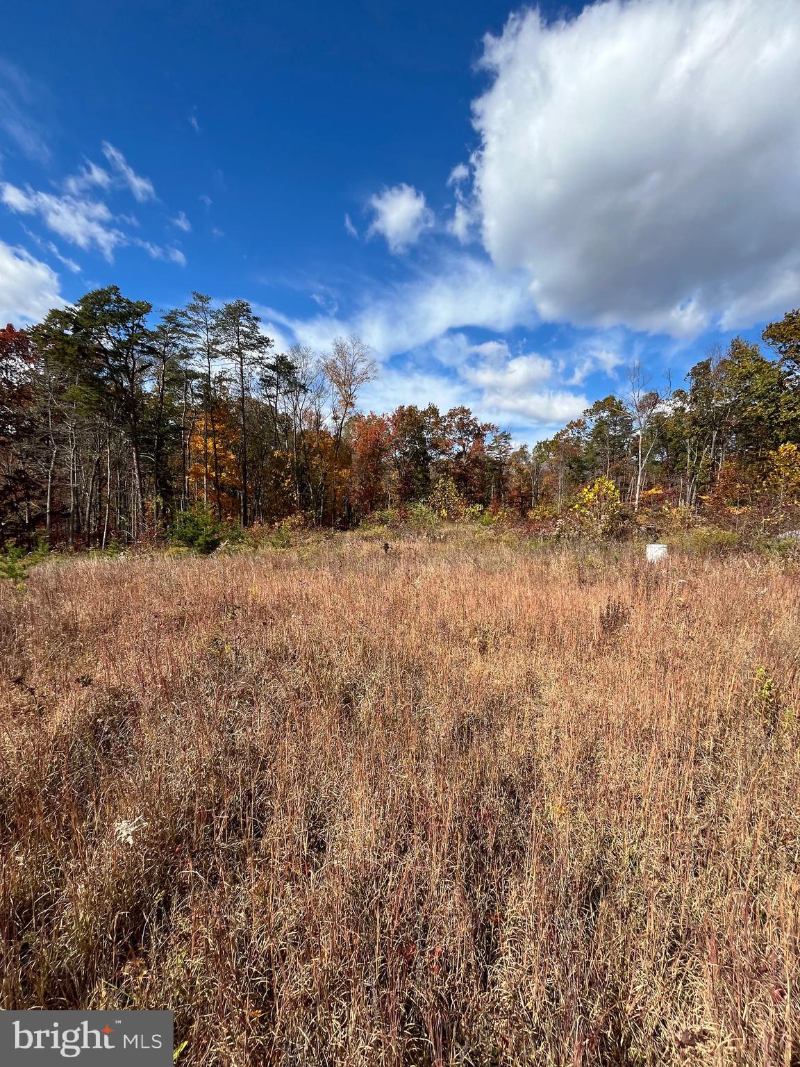 Clone Run Road Hedgesville, WV 25427 - Photo 24 of 29 Back of property