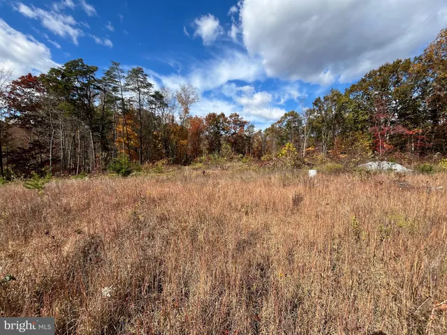 a view of a yard covered with snow