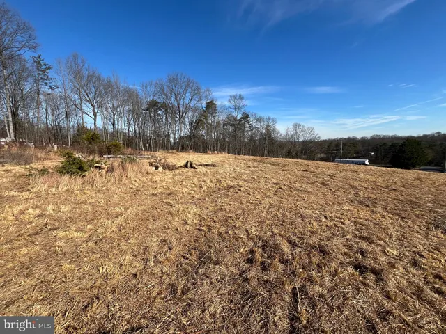 a view of a yard with trees in the background
