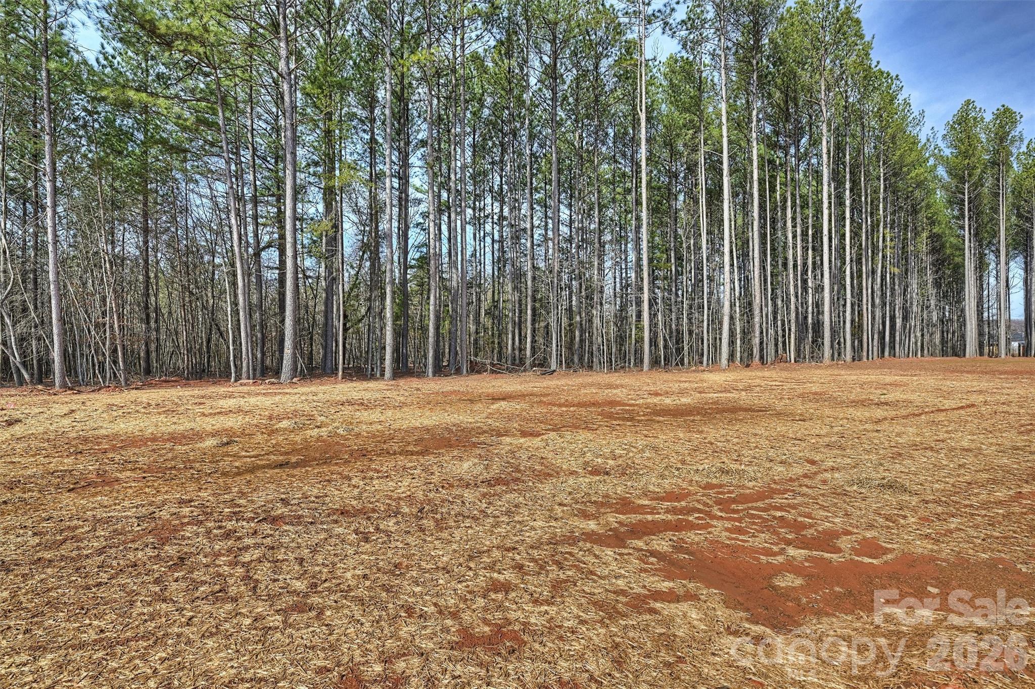2279 Lee Lawing Road Lincolnton, NC 28092 - Photo 38 of 41 a view of a field with trees in the background