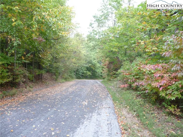 a view of a yard with plants and a tree