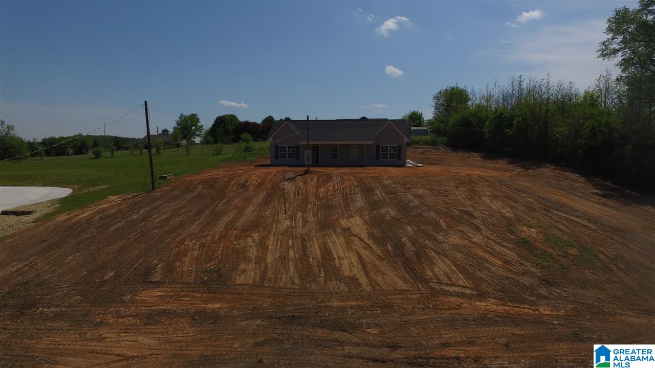 183 Fowler Springs Road Blountsville, AL 35031 - Photo 1 of 7